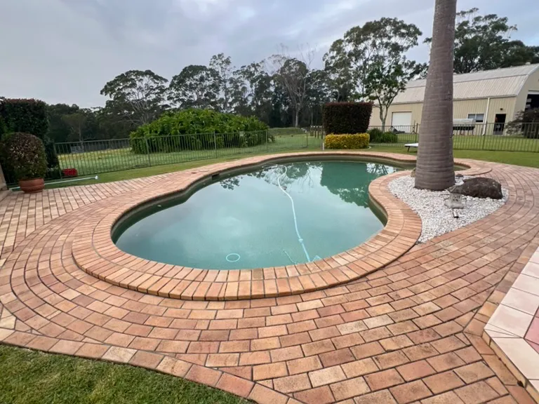 Kidney-shaped pool with brick paving and a palm tree, with a black pool fence across the lawn behind it
